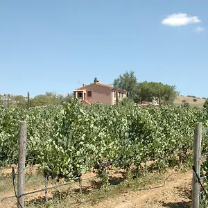 https://agriturismo-pian-dei-pini.it-tuscanyhotel.com